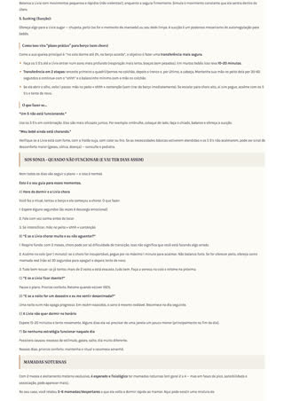 Página 4 do plano: como isso vira plano prático pra berço; SOS SonIA, quando não funcionar.